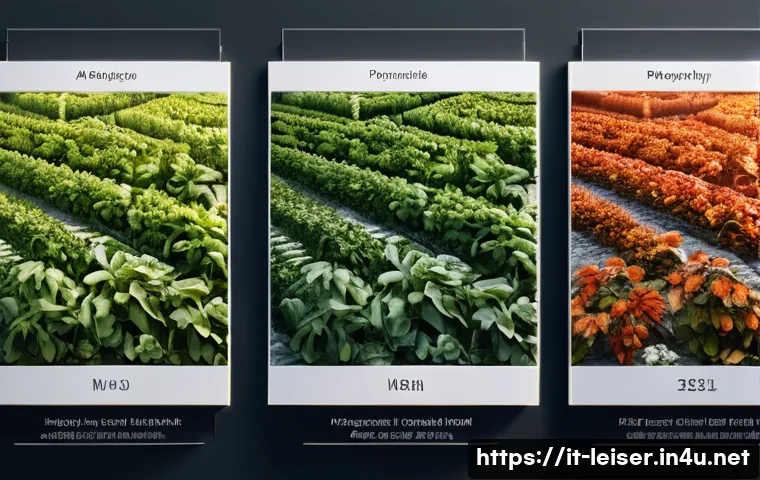 레저산업기사 자격증 합격을 위한 학습법 - Here are three detailed image generation prompts in English, designed to adhere to all specified gui...